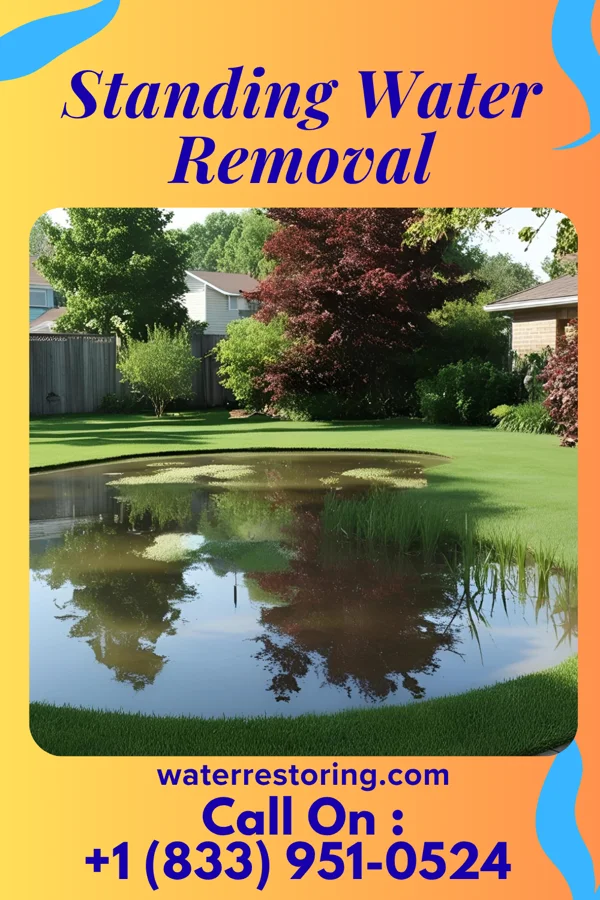 Standing Water Removal in Camden, MO